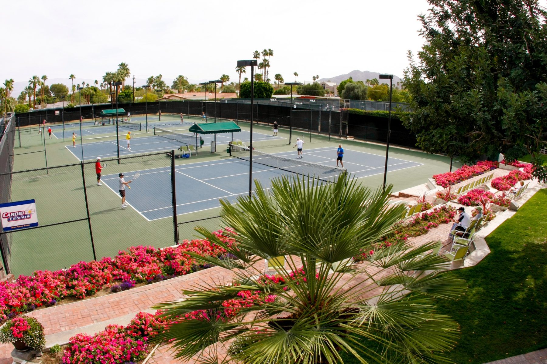 Courts framed by desert planting
